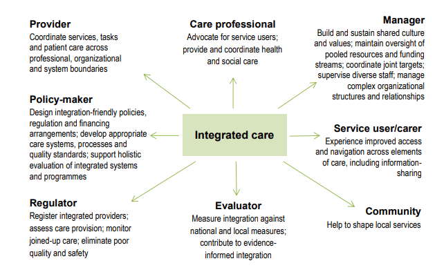 Integrated Nursing Practice Assignment Help